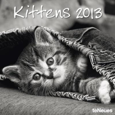 Kittens 2013