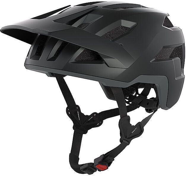 ALPINA Fahrradhelm TAUNUS schwarz   55-59CM B