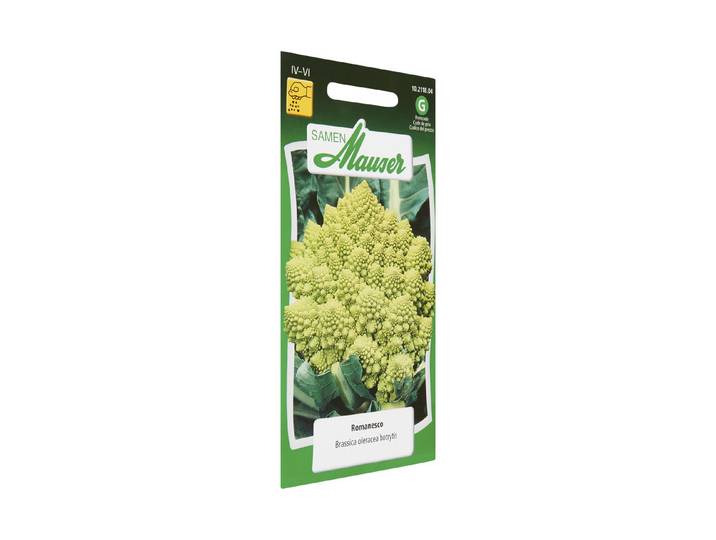 Samen Mauser Blumenkohl Romanesco