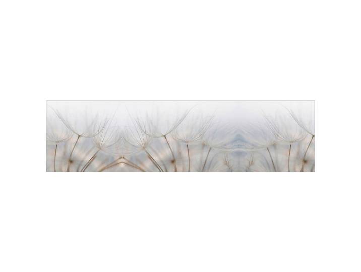 Fani Küchenrückwand Smart - Glas, Beigebraun, Metall, Kunststoff, Blume, 240x63.7x0.6 cm, mit Dekor, Spritzschutz, individuell zuschneidbar, Echtglas-Optik, eventuelle Anpassungen vor Ort nötig, Küchen, Küchenausstattung, Küchenrückwände