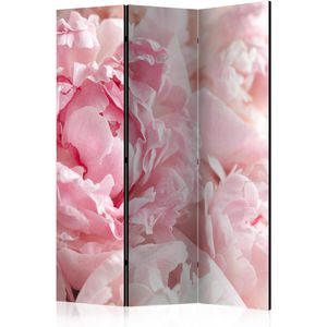 Artgeist Paravent Sweet Peonies, innen, 3-teilig, aus Holz / Stoff, einseitig bedruckt, 135 x 172 cm