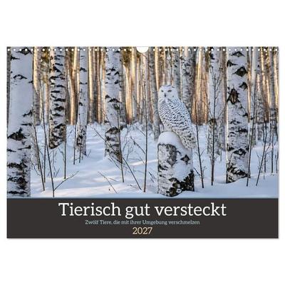 Tierisch gut versteckt - Zwölf Tiere, die mit ihrer Umgebung verschmelzen (Wandkalender 2027 DIN A3 quer), CALVENDO Monatskalender