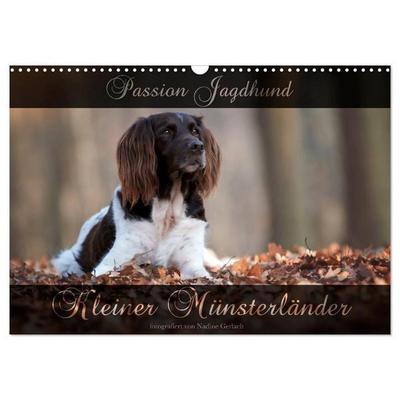 Passion Jagdhund - Kleiner Münsterländer (Wandkalender 2026 DIN A3 quer), CALVENDO Monatskalender
