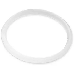 Dichtring II für Filter 3 Stück