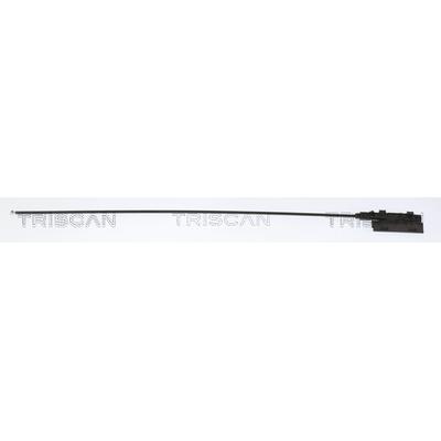 TRISCAN Motorhaubenzug 8140 11611 für BMW