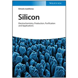 Silicon, Fachbücher von Eimutis Juzeliunas
