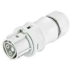 Wieland Electric 96.021.0053.0 Steckverbinder
