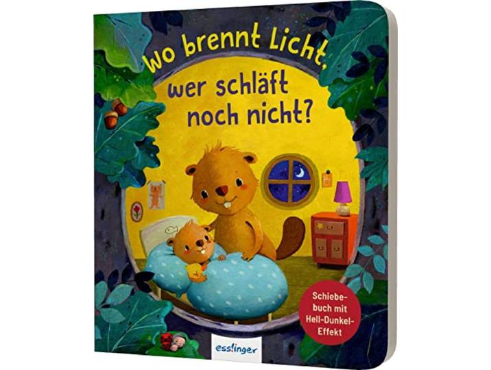 Wo brennt Licht, wer schläft noch nicht?: Ein interaktives Mitmachbuch mit Schiebern zum Einschlafen ab 18 Monaten.
