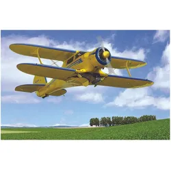 Roden Beechcraft D17S