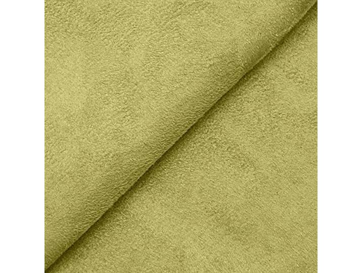 DESHOME Alessia 10 Meter - Stoff Meterware aus wasserabweisendem Mikrofaser, Stoffe für Sofa, Kissen, Möbelstücke, Stühle Beziehen Blasses Grün