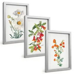 BILDER SET 3er Set - 20x30 cm Silberner Rahmen - Retro-Blumenarrangements