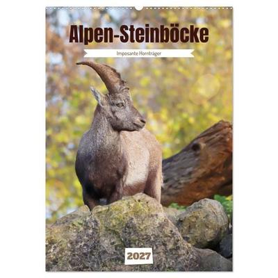 Alpen-Steinböcke, imposante Hornträger (Wandkalender 2027 DIN A2 hoch), CALVENDO Monatskalender