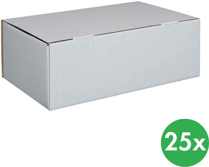 B2B Partner Versandkarton, 302 x 207 x 110 mm, 25 Stk.