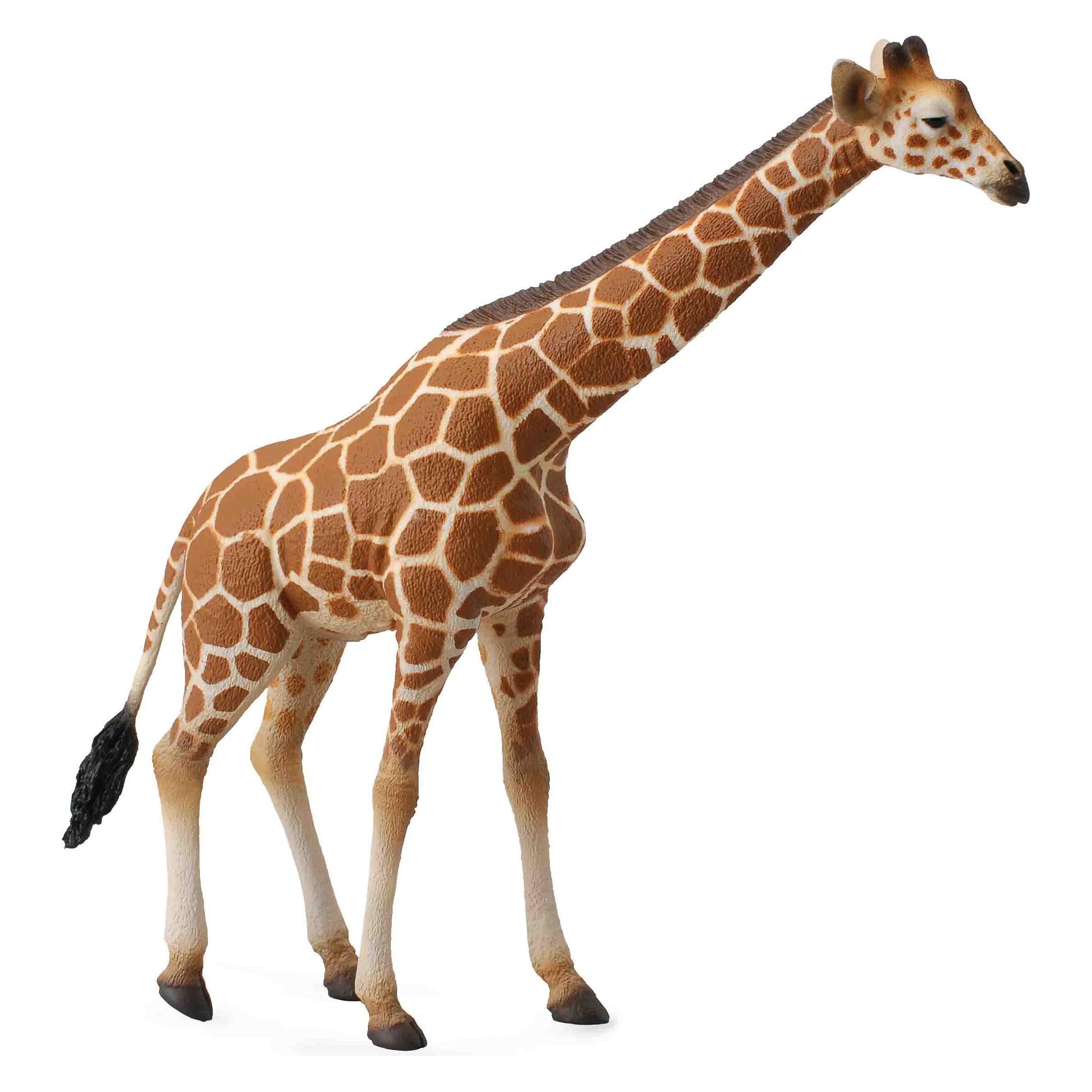 Collecta Netzgiraffe (88534)