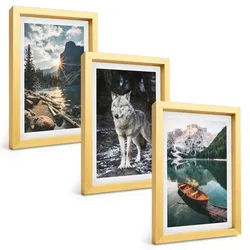 BILDER SET 3er Set - 20x30 cm Goldrahmen - Berge, Seen, Wölfe, Natur