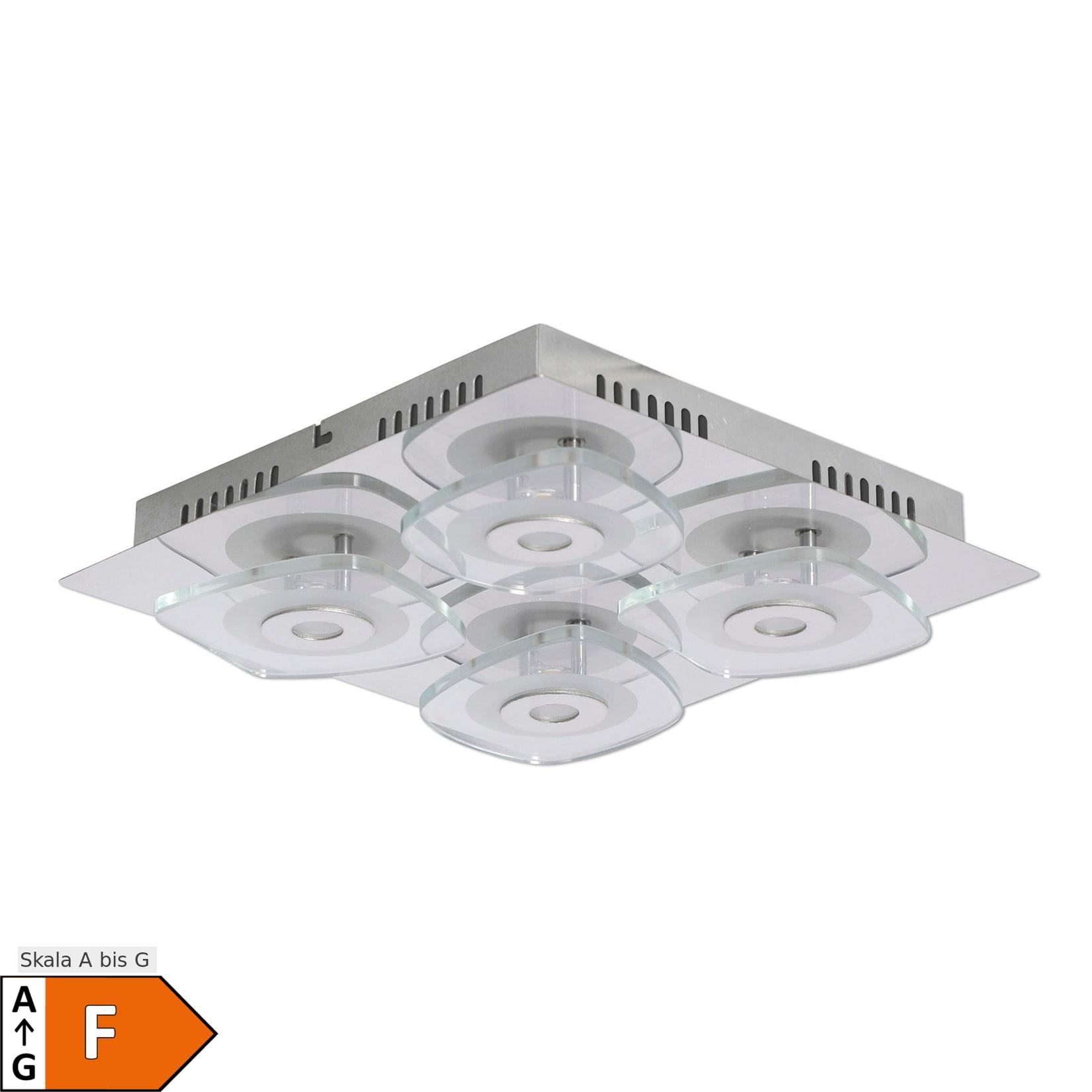Näve LED Wand- und Deckenleuchte "LUCCA"