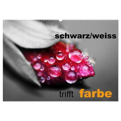 schwarz/weiß trifft farbe (Wandkalender 2026 DIN A2 quer), CALVENDO Monatskalender