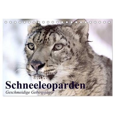 Schneeleoparden. Geschmeidige Gebirgsjäger (Tischkalender 2027 DIN A5 quer), CALVENDO Monatskalender