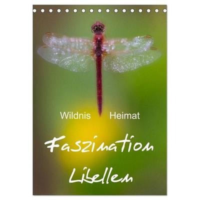 Faszination Libellen - Wildnis Heimat (Tischkalender 2026 DIN A5 hoch), CALVENDO Monatskalender