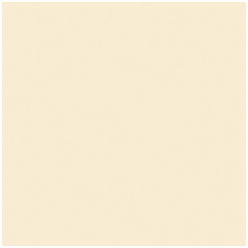 folia Tonpapier beige 130 g/qm 100 St.
