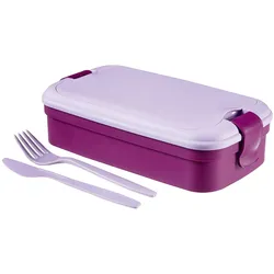 6x Curver Lunchbox 'Lunch & go', Lunchbox, Violett