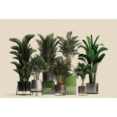Fototapete LIVING WALLS "Walls by Patel Plant Shop", grün, B:4m L:2,7m, Vlies, Tapeten, Vlies, Wand