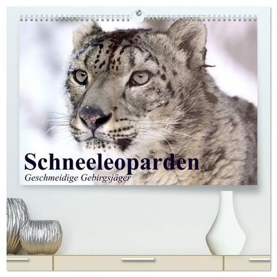 Schneeleoparden. Geschmeidige Gebirgsjäger (hochwertiger Premium Wandkalender 2027 DIN A2 quer), Kunstdruck in Hochglanz