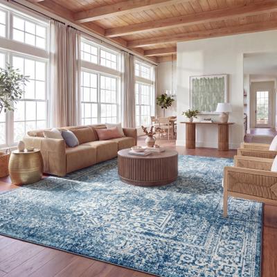 SAFAVIEH Evoke Quinn Vintage Distressed Rug