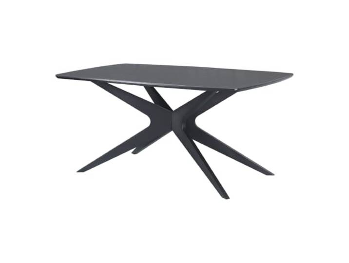 Dakona Esstisch 160x90 cm 6 Plätze im Holz Sieht schwarz aus
