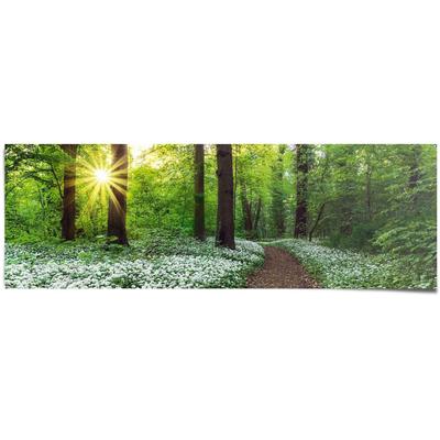 Poster REINDERS "Waldlichtung Frühling", grün (farbe bild(er): grün), B:158cm H:53cm, Papier, Bilder, Poster