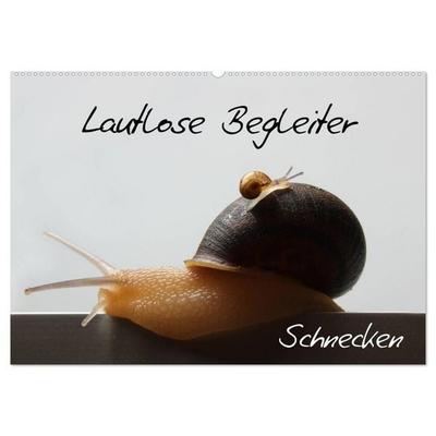 Lautlose Begleiter - Schnecken (Wandkalender 2027 DIN A2 quer), CALVENDO Monatskalender