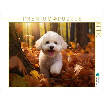 CALVENDO Puzzle Ein Motiv aus dem Kalender 'Bichon frisé, weiße Hündchen mit lockigem Haar' | 2000 Teile Lege-Größe 90x67cm Foto-Puzzle für glückliche