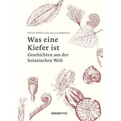 Was eine Kiefer ist, Gebundene Ausgabe von Lucia Jay Seldeneck, Kunstanstifter GmbH & Co. KG, 978-3-948743-37-6