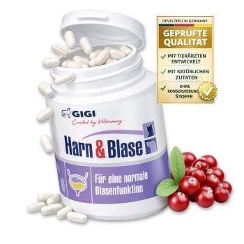 GIGI VET Harn & Blase 90 Stück