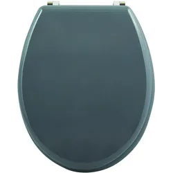MSV, WC Deckel, Stefan