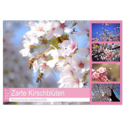 Zarte Kirschblüten - Berauschende Gedankendüfte (Wandkalender 2027 DIN A3 quer), CALVENDO Monatskalender