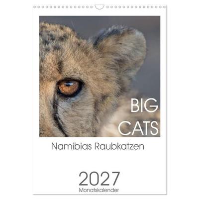 BIG CATS - Namibias Raubkatzen (Wandkalender 2027 DIN A3 hoch), CALVENDO Monatskalender