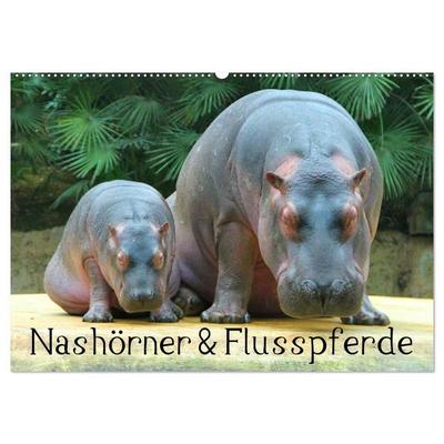 Nashörner & Flusspferde (Wandkalender 2027 DIN A2 quer), CALVENDO Monatskalender