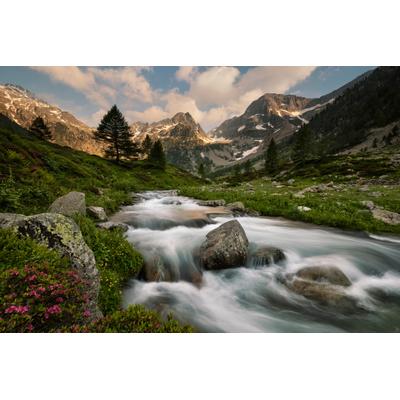 Fototapete PAPERMOON "Photo-Art PAOLO BOLLA, MARITIME ALPEN PARK", bunt, B:3,5m L:2,6m, Vlies, Tapeten