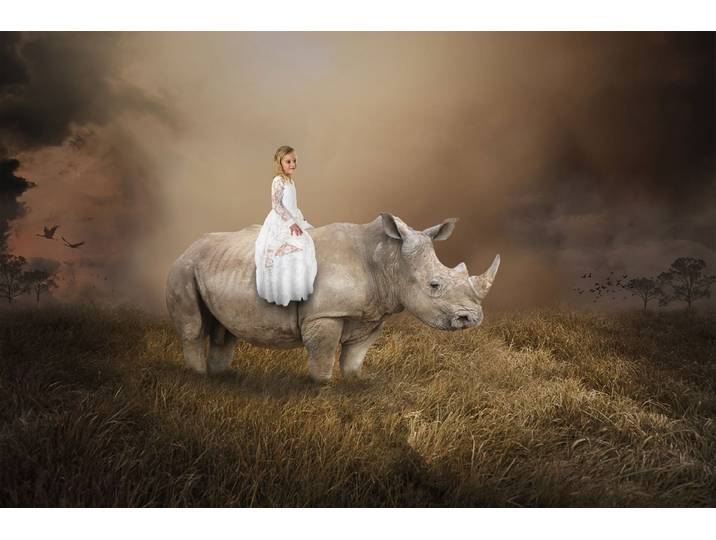 Fototapete PAPERMOON Surreales Mädchen, das Nashorn reitet , bunt, B:3m L:2,2m, Vlies, Tapeten, Fototapete