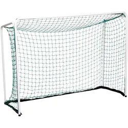 Sport-Thieme, Tor