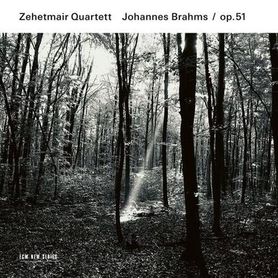 Brahms: Streichquartette, Op. 51 - Zehetmair Quartett, CD