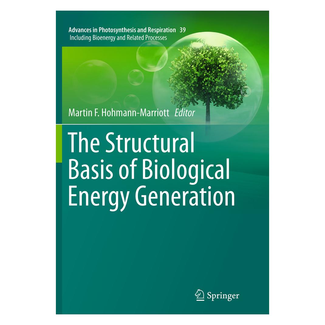 Springer The Structural Basis of Biological Energy Generation (Englisch, Softcover, Martin F. Hohmann-Marriott) (55842132)