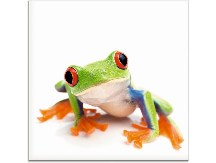 Glasbild ARTLAND Grossaufnahme eines Frosches vor weiss , weiss (farbe bild(er): weiß), B:20cm H:20cm, Bilder, Glasbild, in verschiedenen Grössen