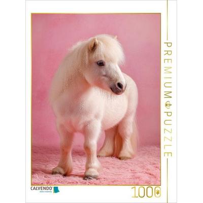 CALVENDO Puzzle Weißes Zwergpony vor rosa Hintergrund | 1000 Teile Lege-Größe 64x48cm Foto-Puzzle für glückliche Stunden