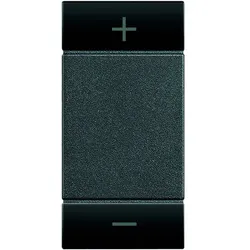 BTicino L4911ADN LivingLight Symbolwippe 1M (+/) REGELUNG Anthrazit