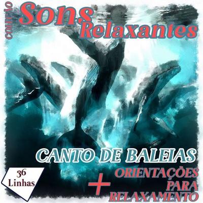 Coleção Sons Relaxantes - canto das baleias - Silvia Strufaldi, Audio, 9798868685323
