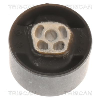 TRISCAN Lagerung, Motor 8505 10121 für Peugeot