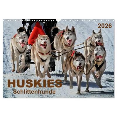 Huskies - Schlittenhunde (Wandkalender 2026 DIN A3 quer), CALVENDO Monatskalender