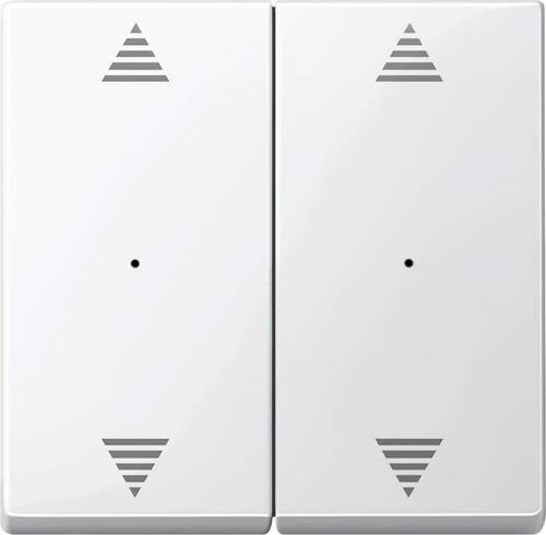 Merten KNX Systeme 619719 Tasterwippe 619719